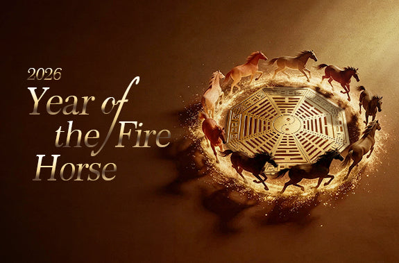 2026-2027: Finding Your Anchor in the Peak of the "Cosmic Summer"