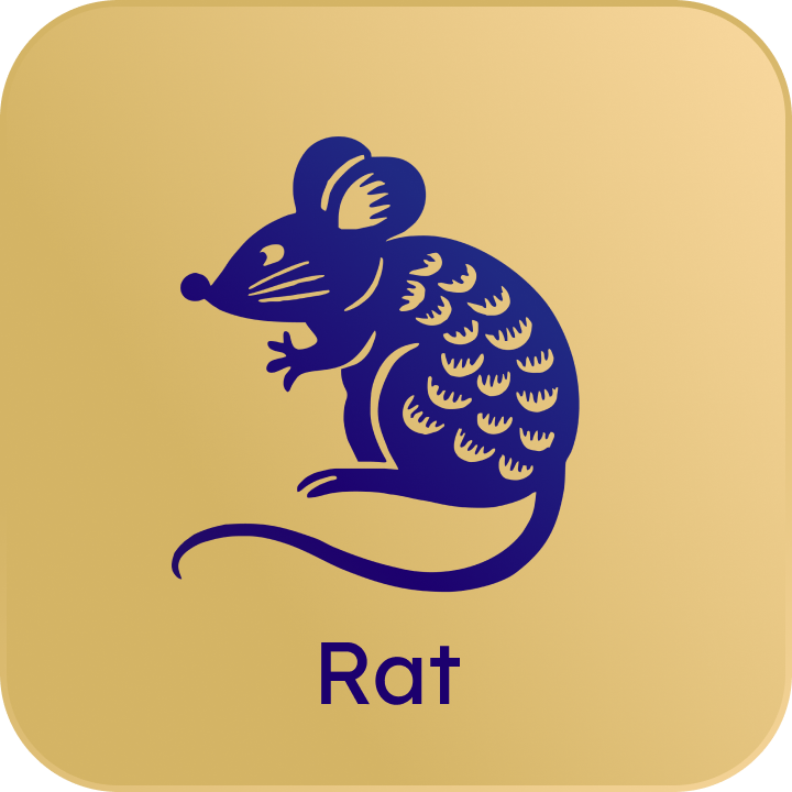 Rat