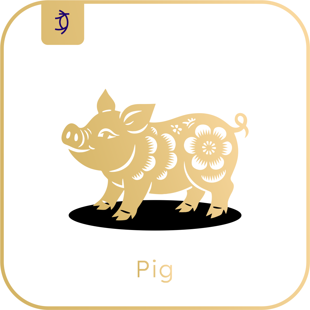Pig